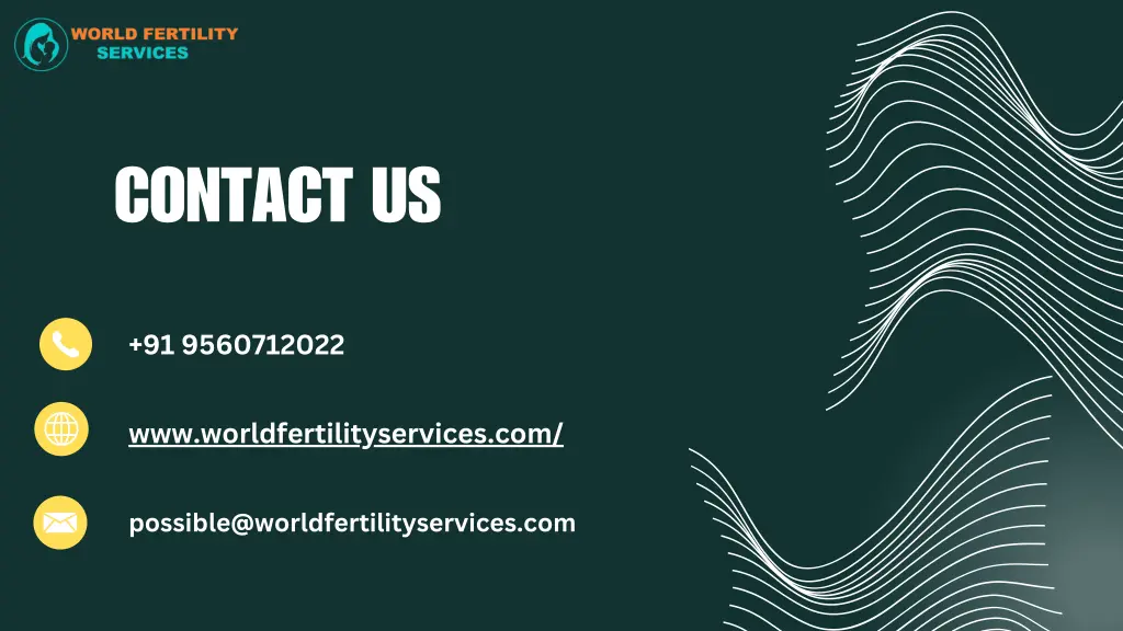 contact us