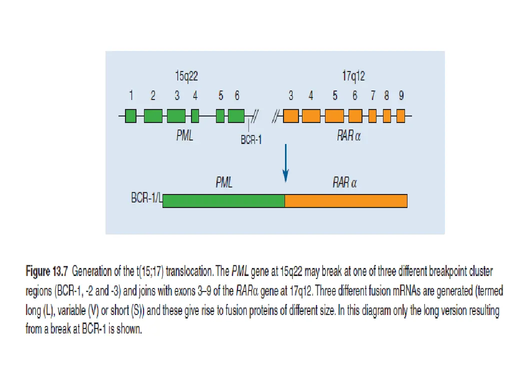 slide27