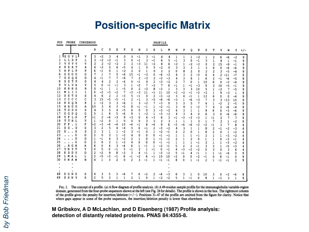position specific matrix