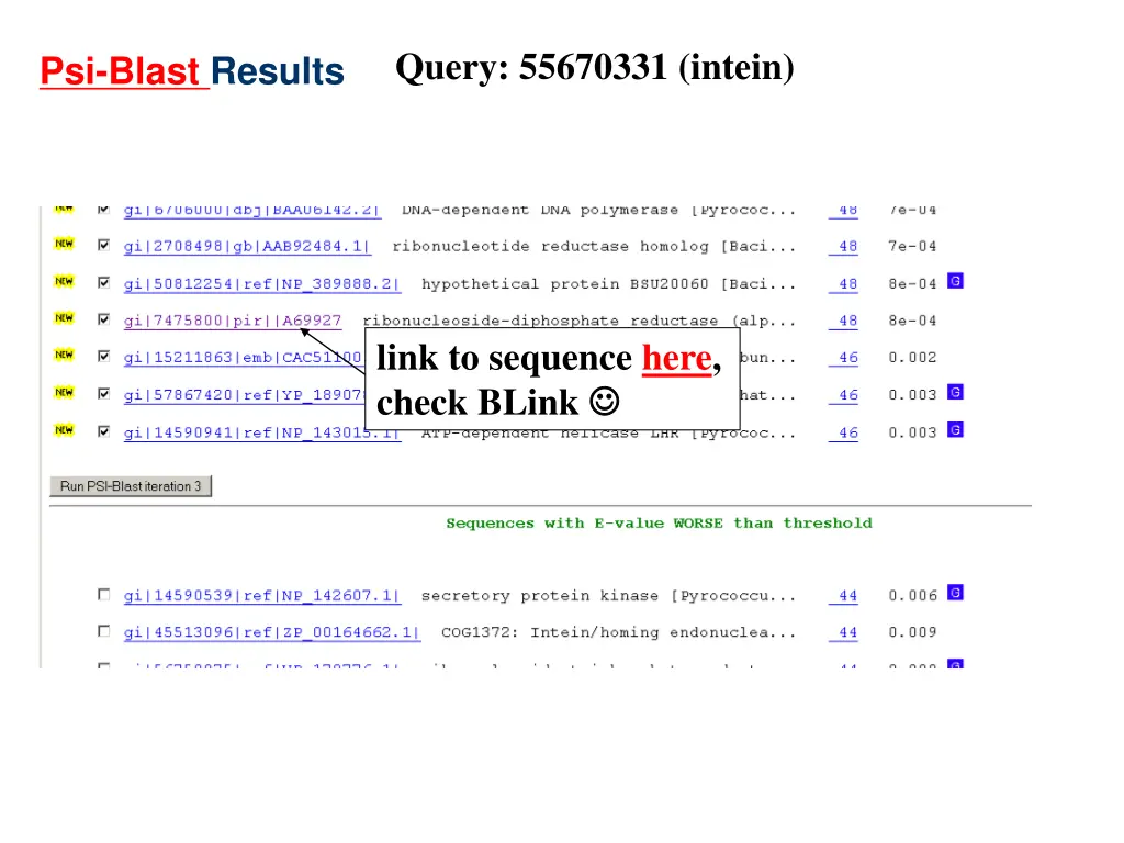 query 55670331 intein