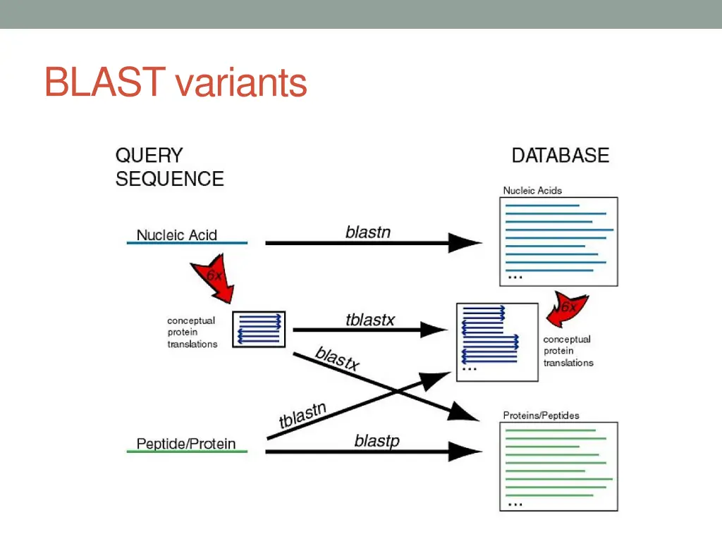 blast variants