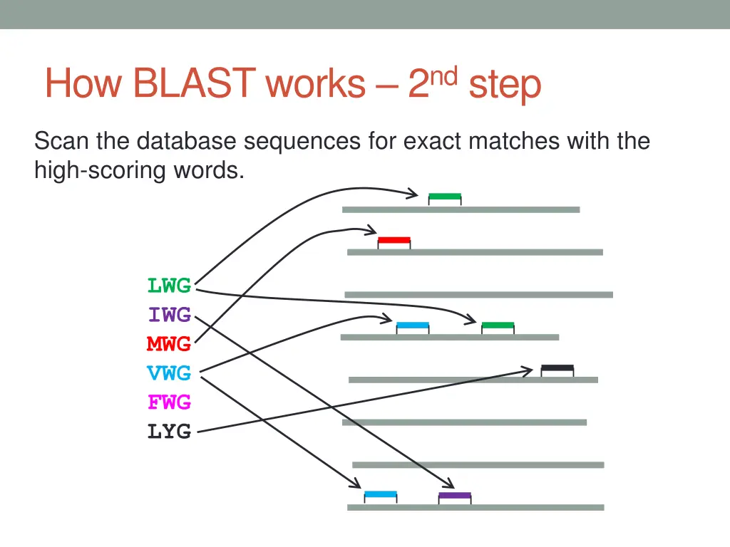 how blast works 2 nd step