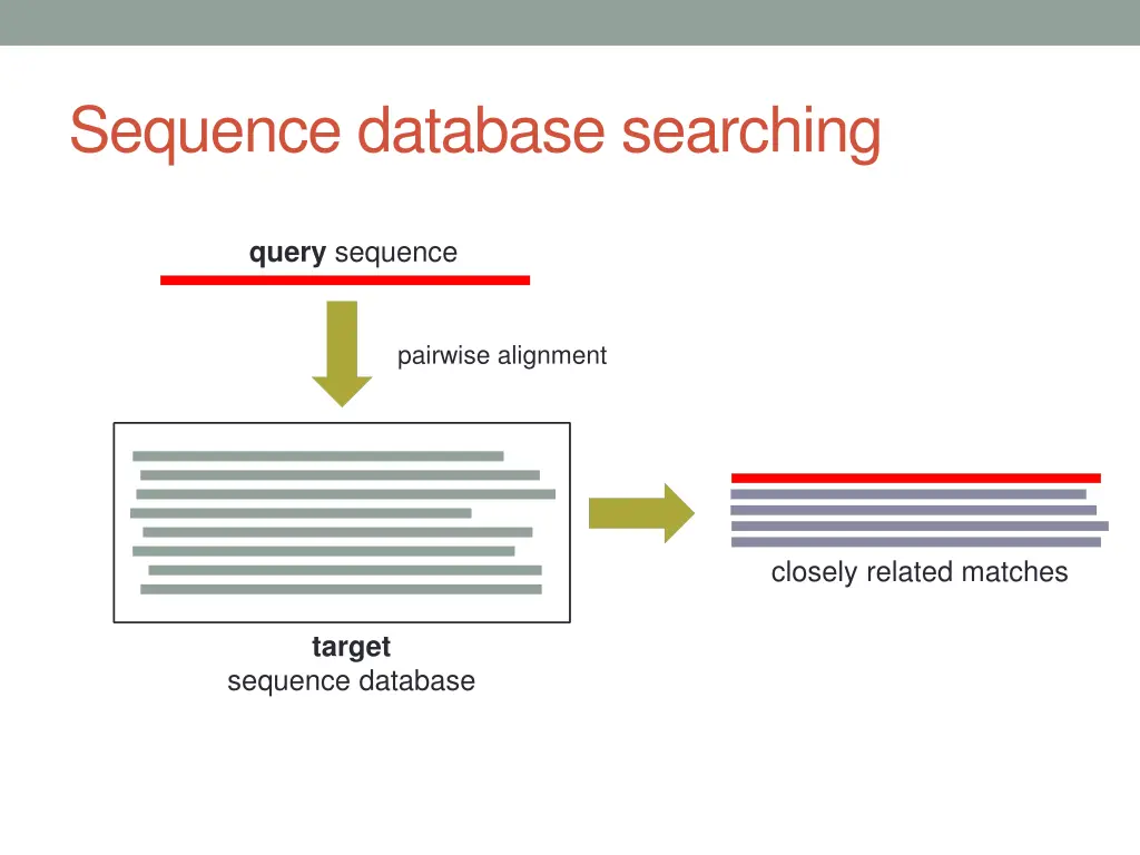 sequence database searching
