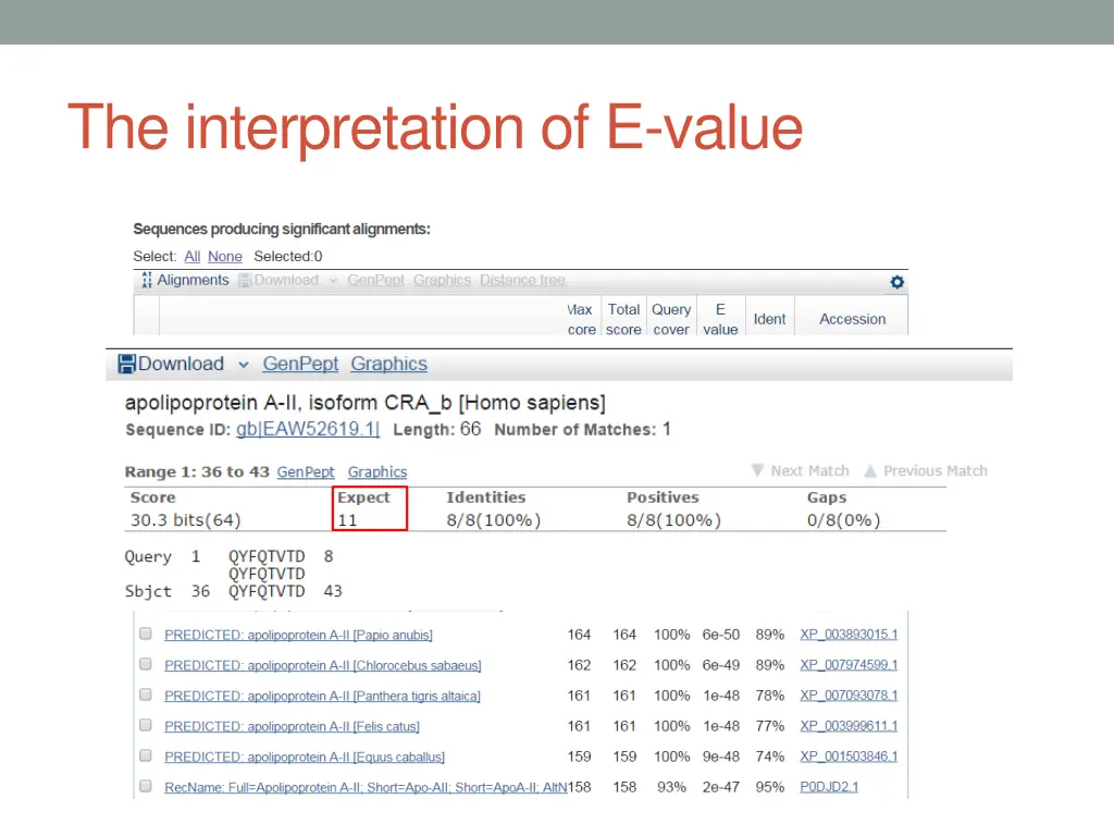 the interpretation of e value 1