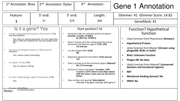 gene 1 annotation