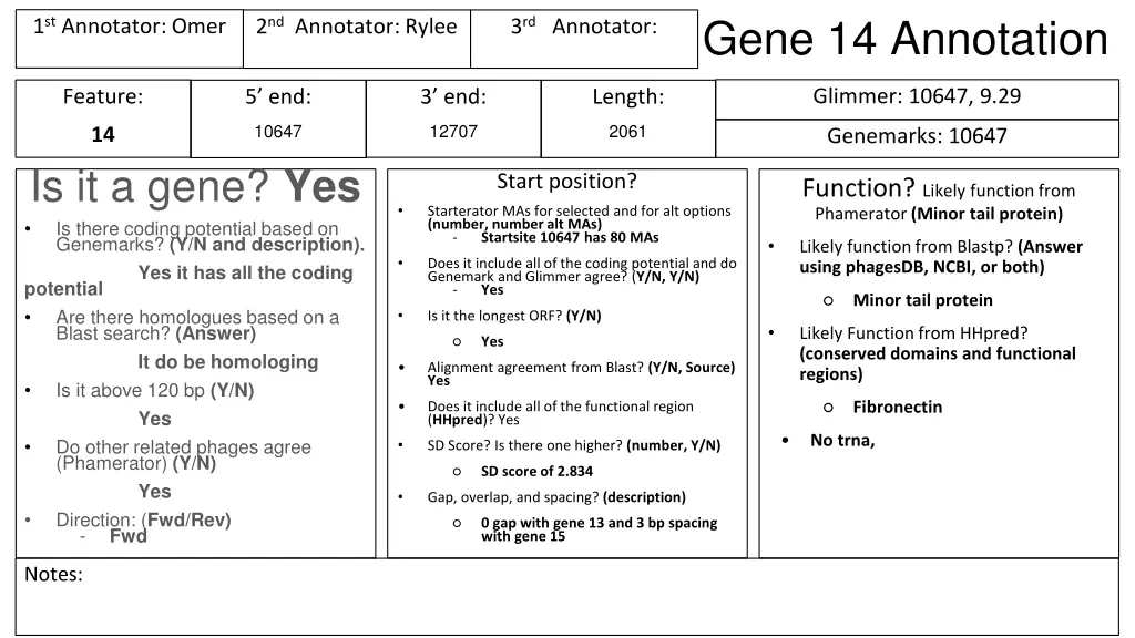 gene 14 annotation