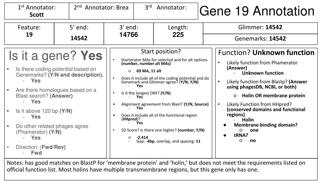 gene 19 annotation