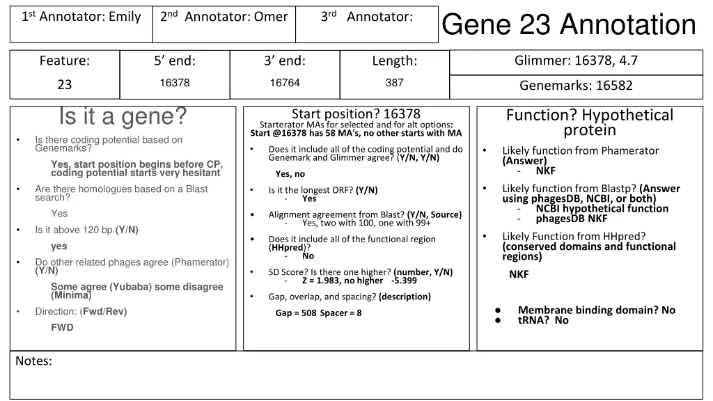 gene 23 annotation