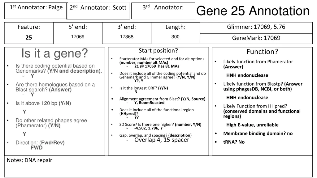 gene 25 annotation