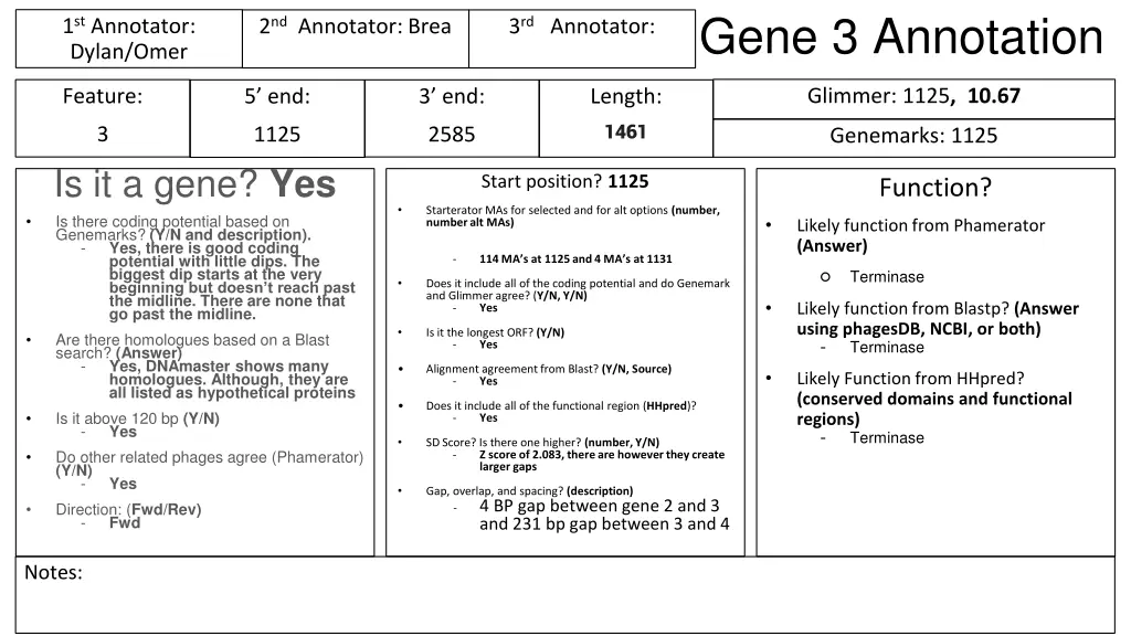 gene 3 annotation