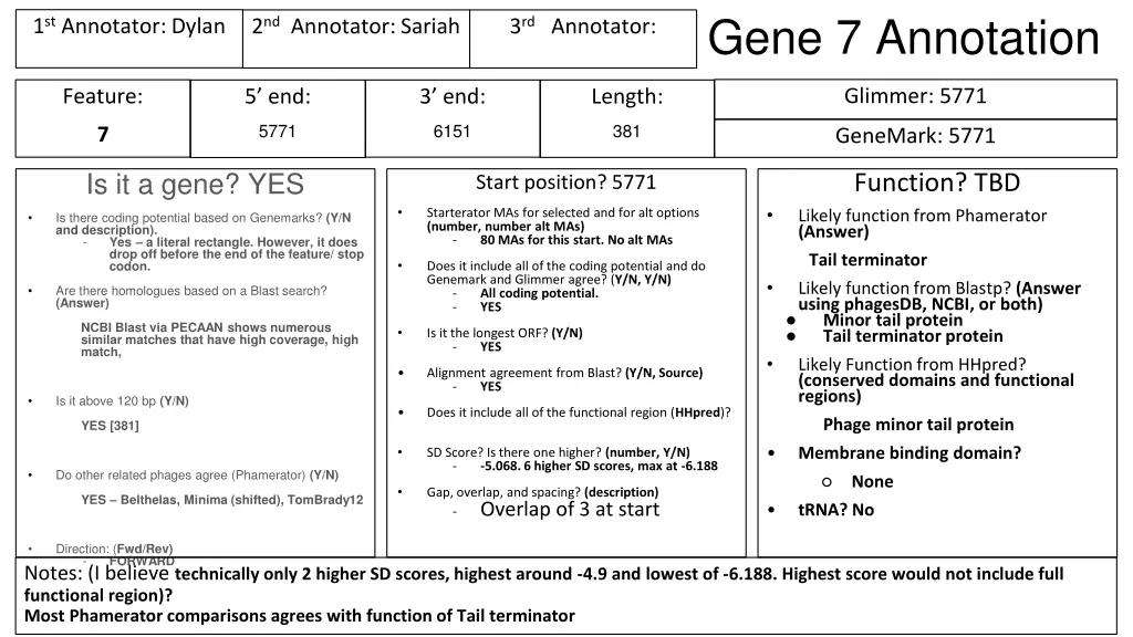 gene 7 annotation