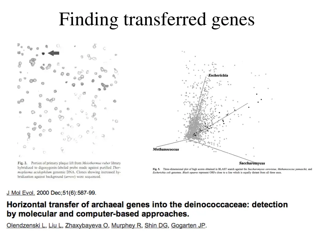 finding transferred genes