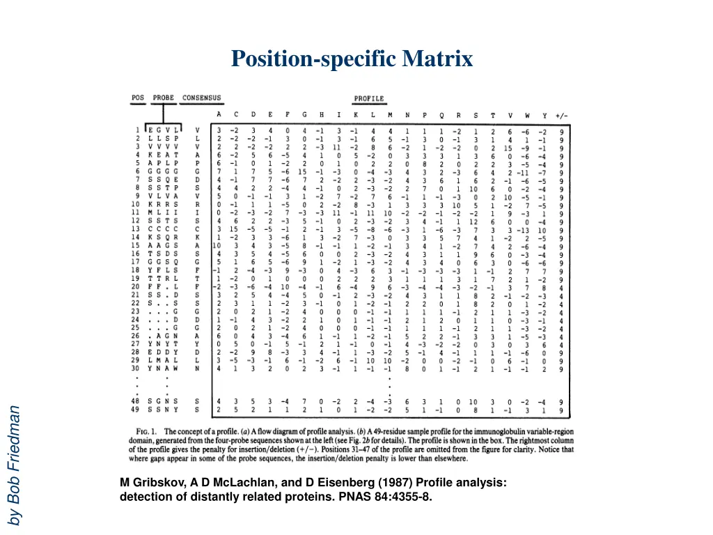 position specific matrix
