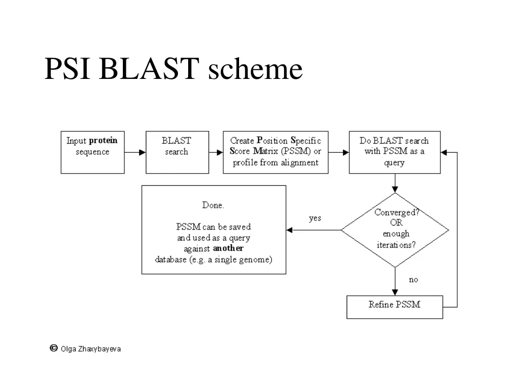 psi blast scheme
