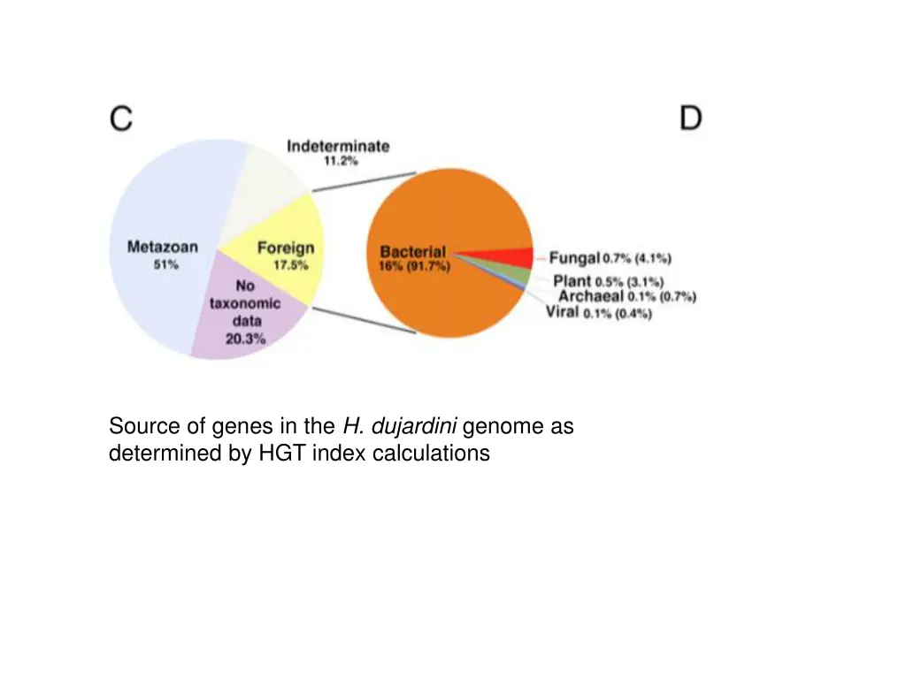 source of genes in the h dujardini genome