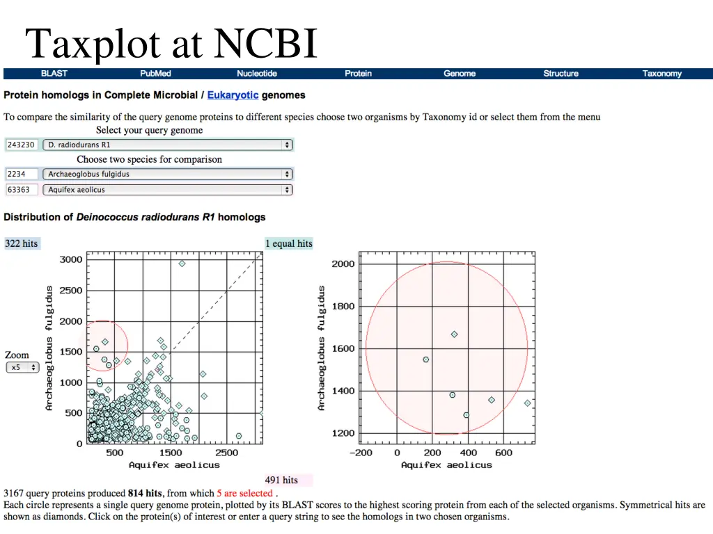taxplot at ncbi