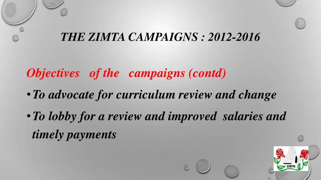 the zimta campaigns 2012 2016 1