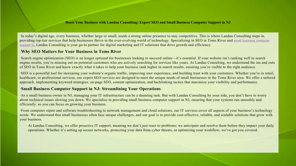 boost your business with landau consulting expert