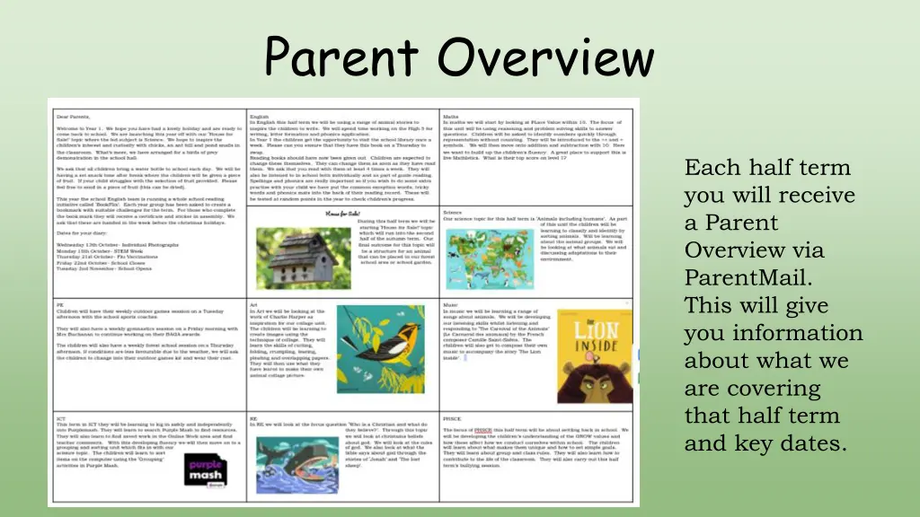 parent overview