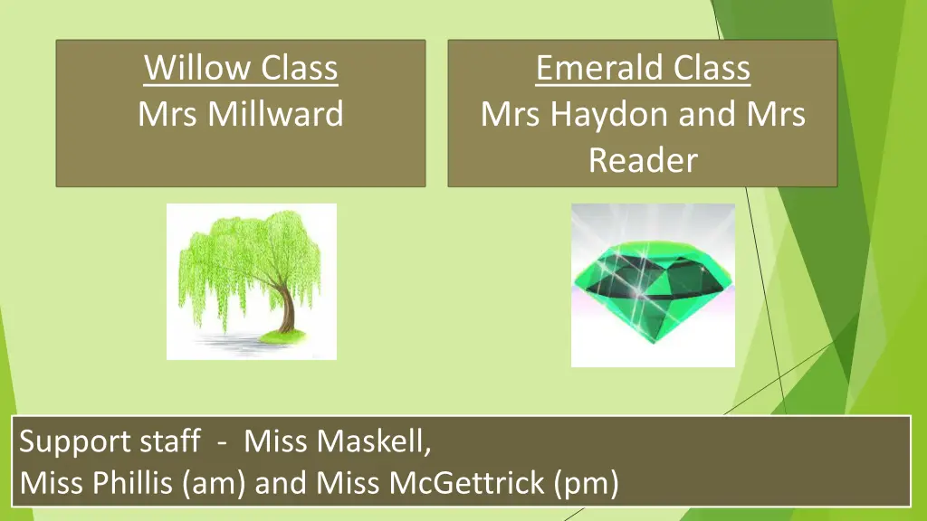 willow class mrs millward