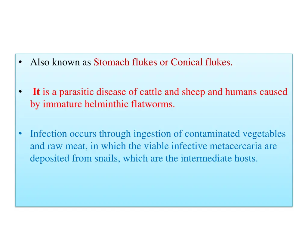 also known as stomach flukes or conical flukes