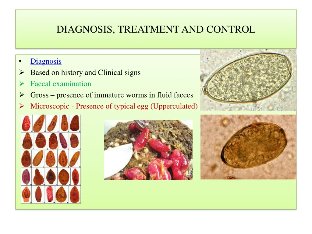 diagnosis treatment and control