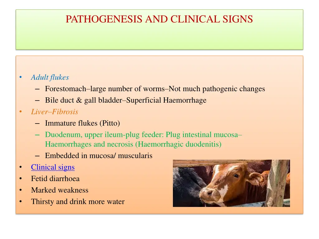 pathogenesis and clinical signs