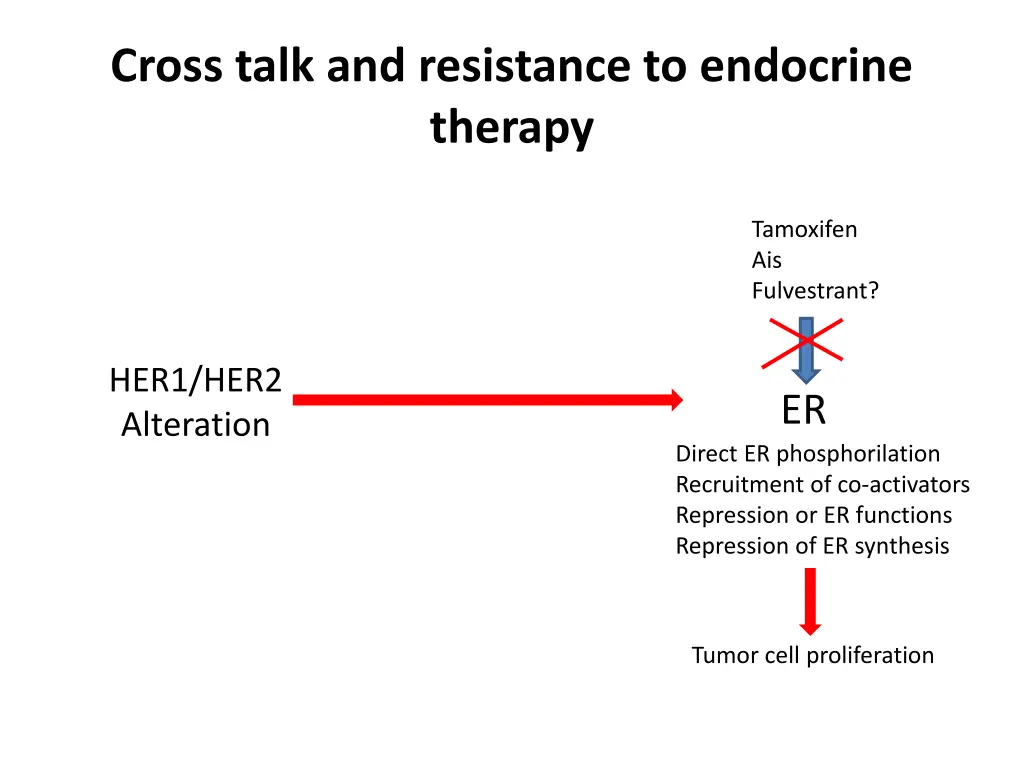 cross talk and resistance to endocrine therapy