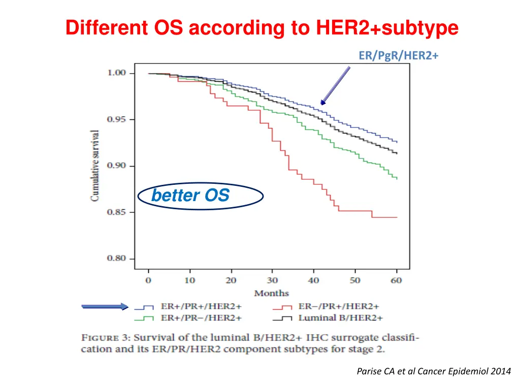 different os according to her2 subtype