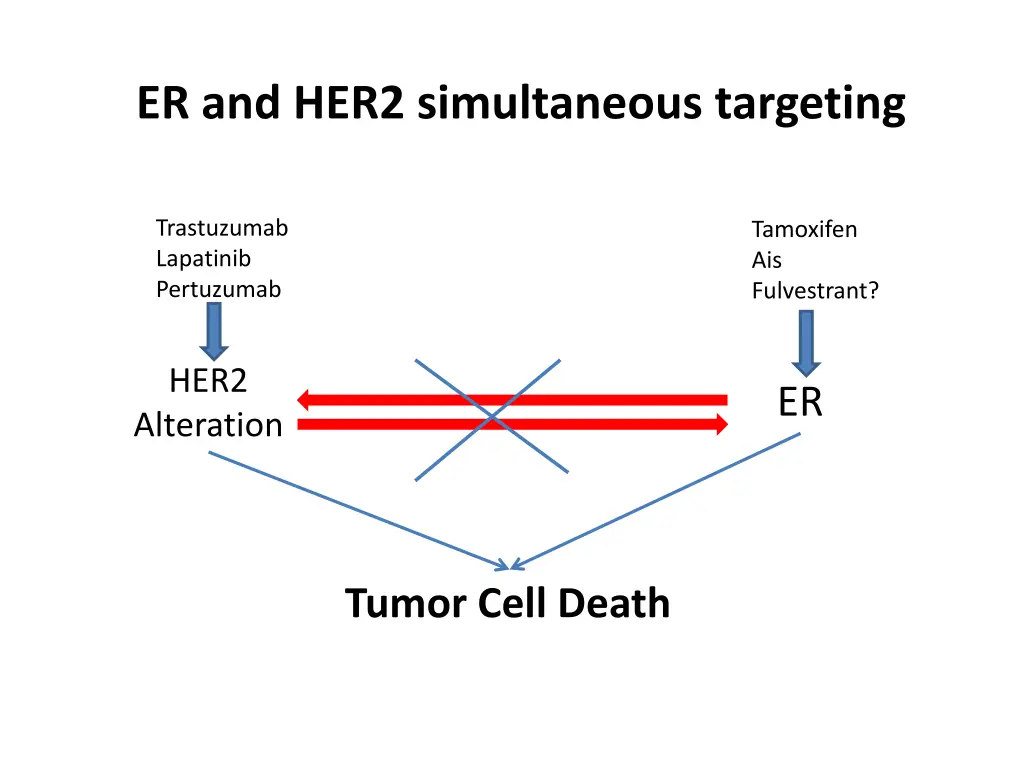 er and her2 simultaneous targeting