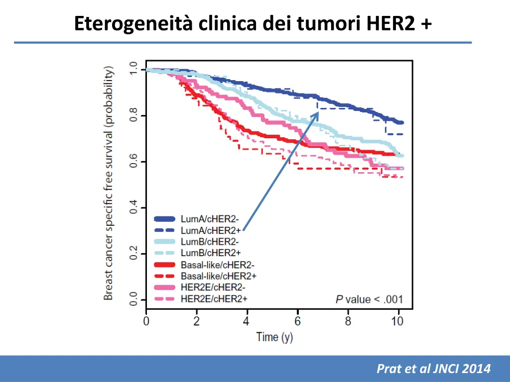 eterogeneit clinica dei tumori her2
