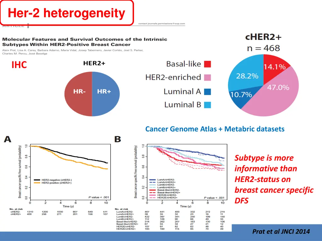 her 2 heterogeneity