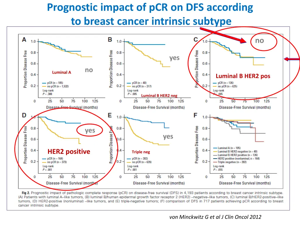 prognostic impact of pcr on dfs according