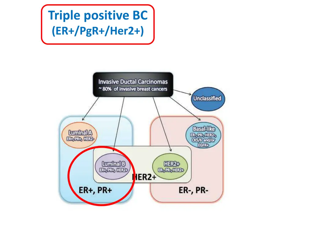 triple positive bc er pgr her2