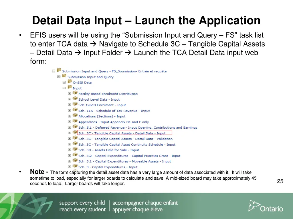 detail data input launch the application