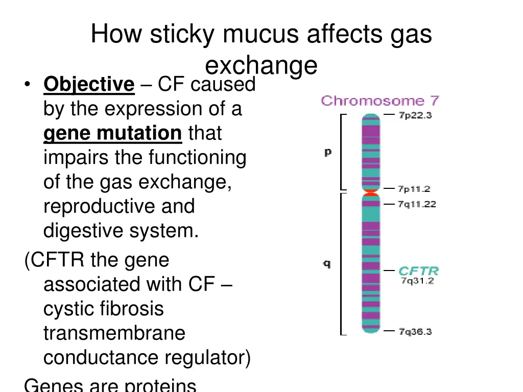 how sticky mucus affects gas exchange objective