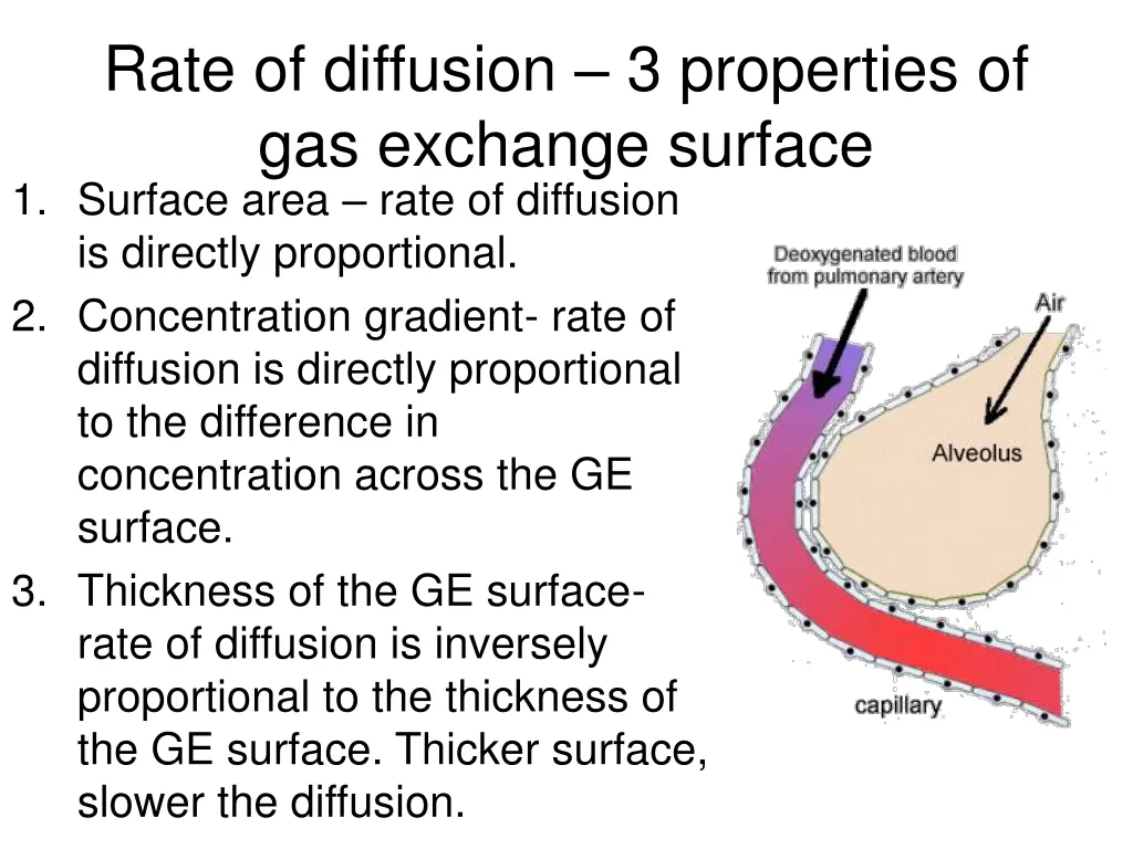 rate of diffusion 3 properties of gas exchange