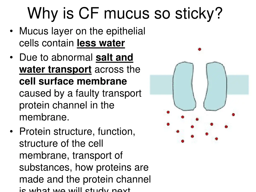 why is cf mucus so sticky mucus layer