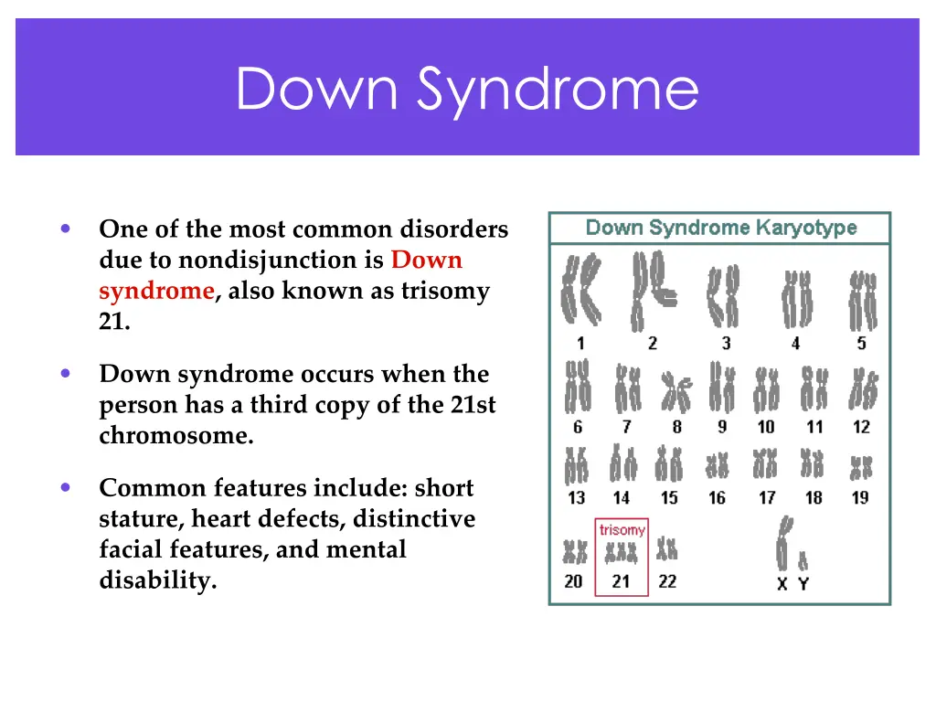 down syndrome