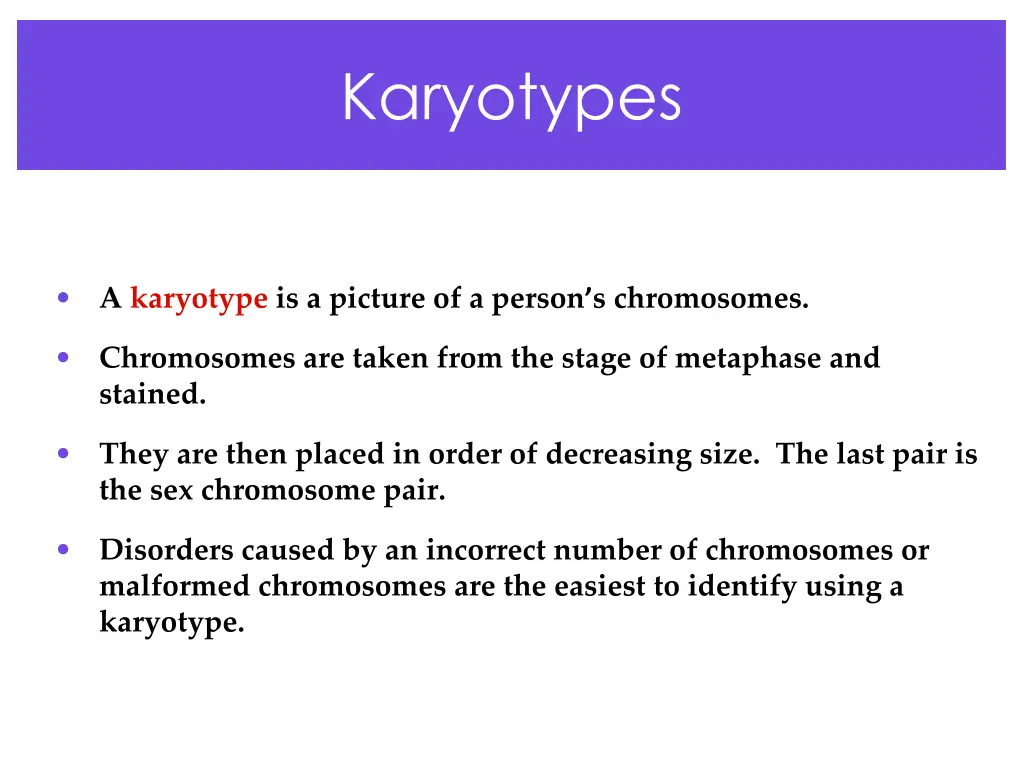 karyotypes