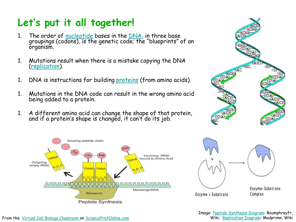 let s put it all together 1 the order