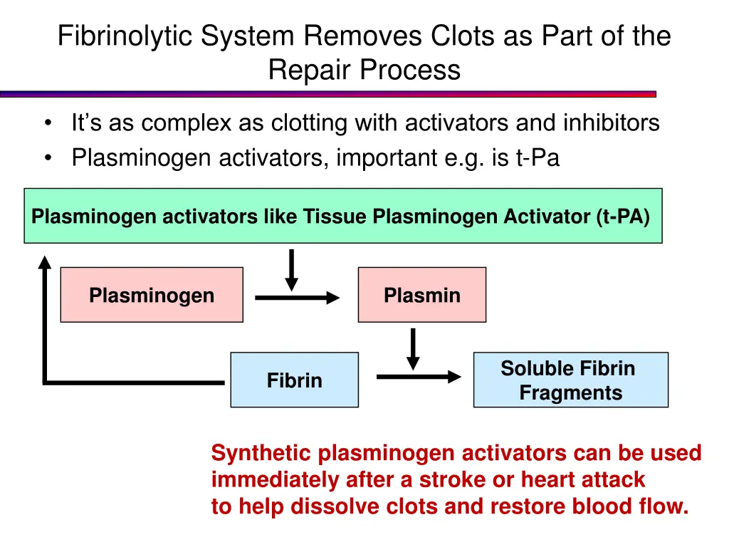 fibrinolytic system removes clots as part