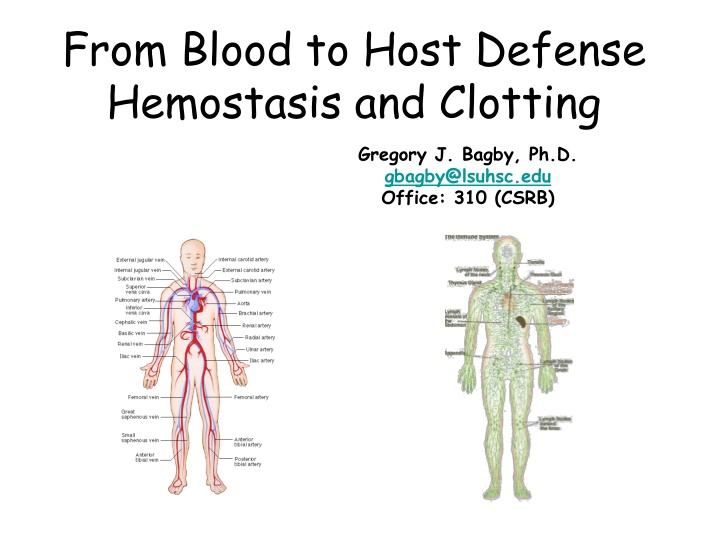 from blood to host defense hemostasis and clotting