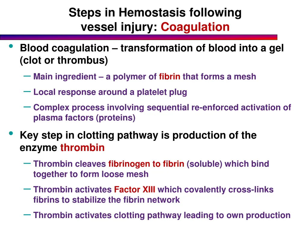 steps in hemostasis following vessel injury 2