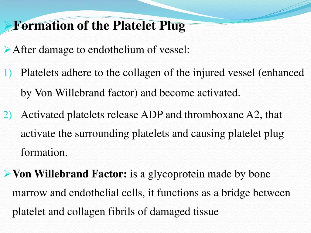 formation of the platelet plug