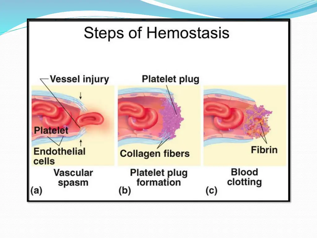 slide4