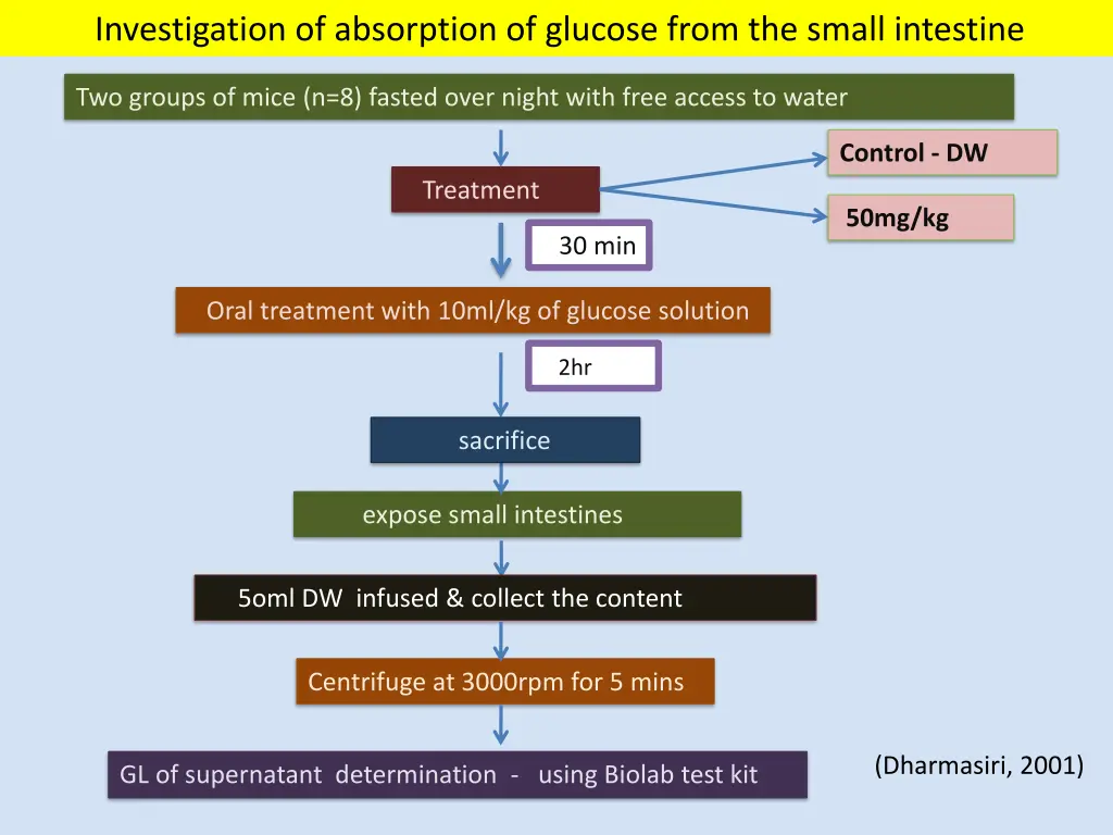 investigation of absorption of glucose from