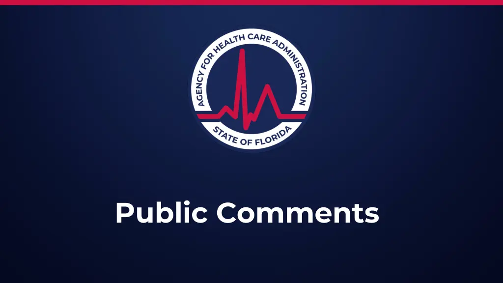 public comments