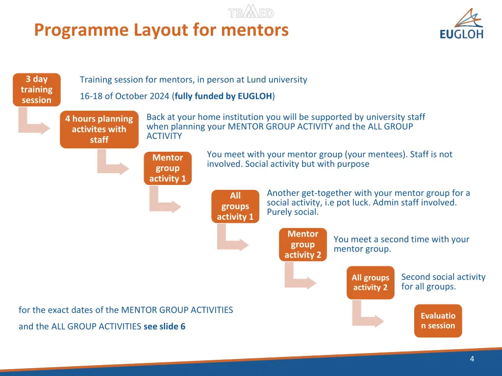 programme layout for mentors