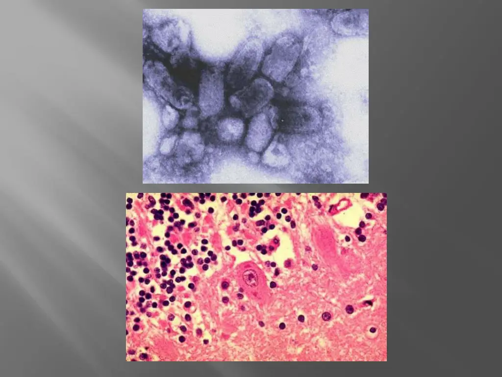 slide24